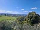 BASILICA DI ASSISI E GITA A FOLIGNO